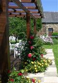 Chambre Twin en rez-de-jardin paimpol