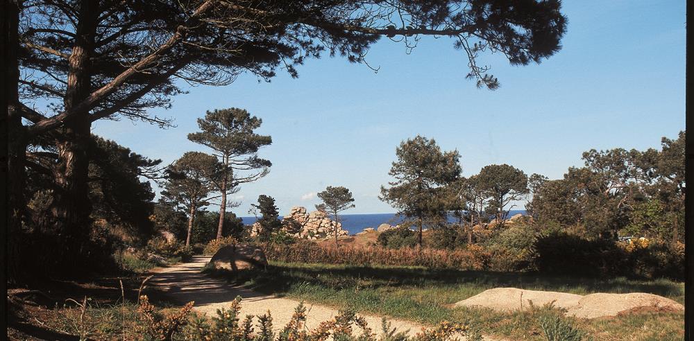 cote de granit rose